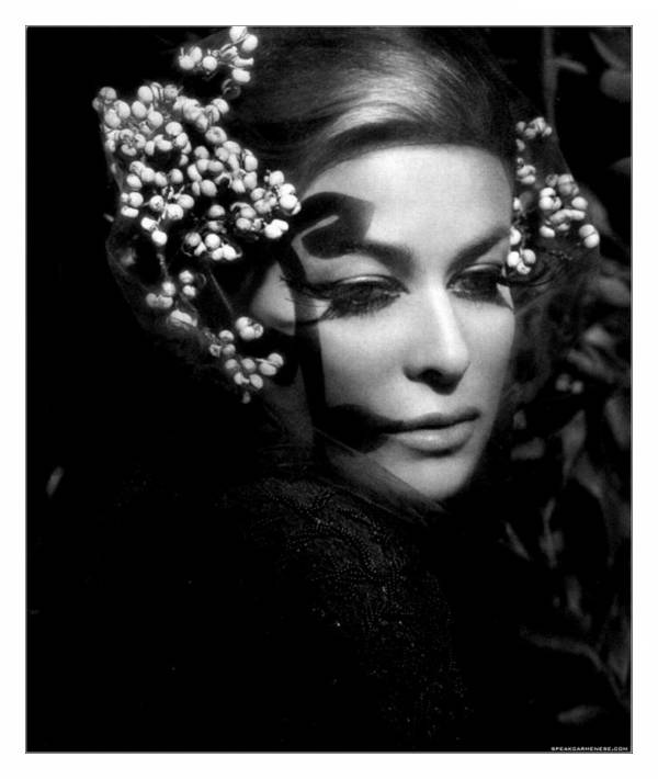 Кармен Электра (Carmen Electra) в фотосессии журнала Flaunt (2006)