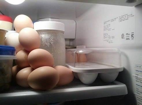 Попросила мужа положить яйца в холодильник