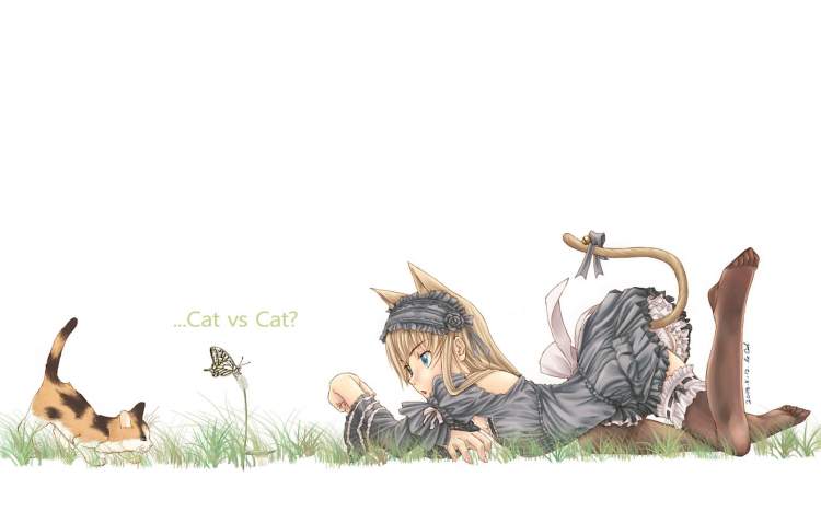 Обои Неко, девочка, котёнок, настроение, бабочка, кошка против кошки, белый фон на рабочий стол