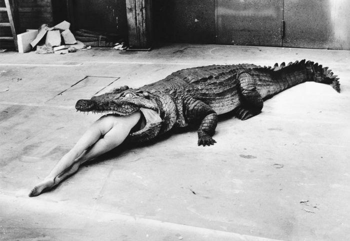 Крокодил пообедал голой девушкой - Эроприколы