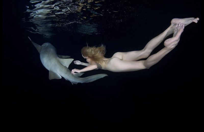 Dolphin Swim W Nude Woman Serenity Posters