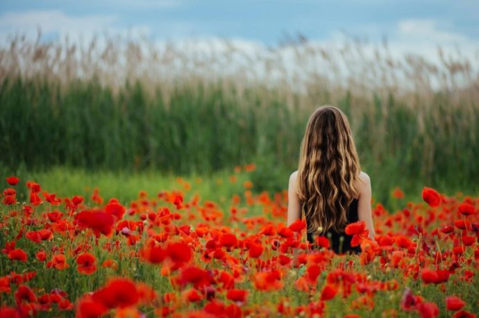 Очаровательная женщина с цветами в поле на фото