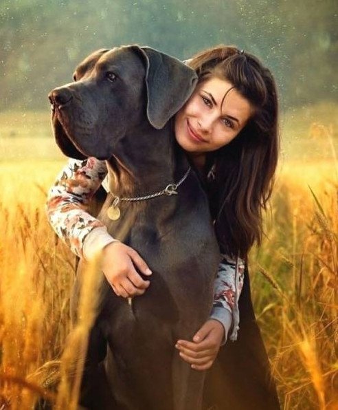 Очаровательная женщина с щенками на фото
